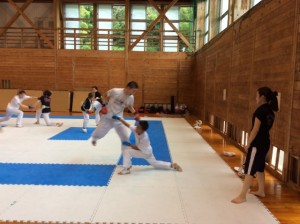 IMG_2565